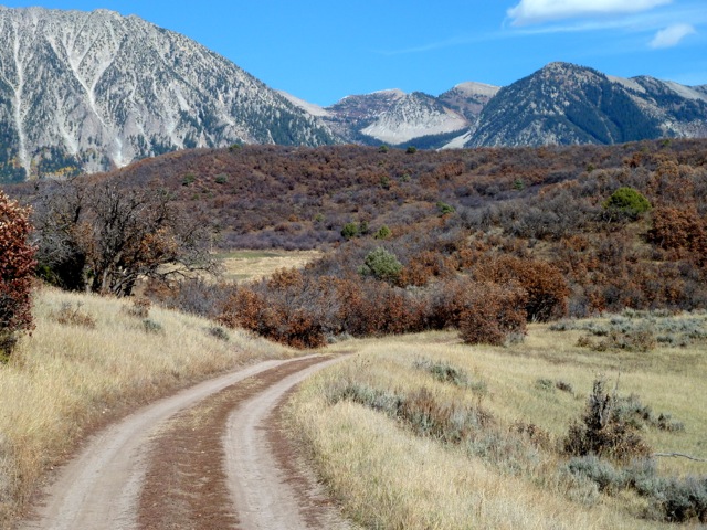 BLM road through Bear Ranch