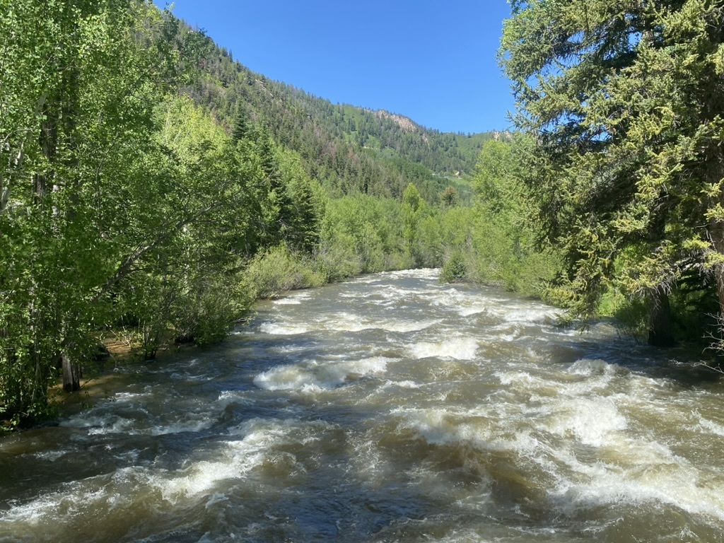 Aspen activist wants ‘rights of nature’ for the Roaring Fork River